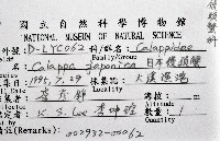 日本饅頭蟹藏品圖，第8張