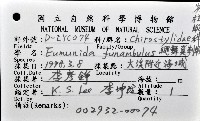 繩舞真刺蝦藏品圖，第8張