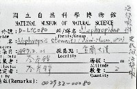 史氏擬海螯蝦藏品圖，第8張