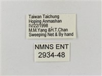 緋蛺蝶藏品圖，第3張