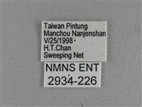 白斑弄蝶藏品圖，第3張