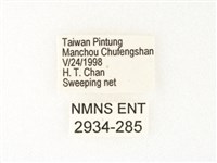 旖斑蝶藏品圖，第3張