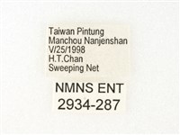 旖斑蝶藏品圖，第3張
