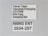 細邊琉灰蝶藏品圖，第3張