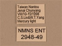 背中白天蛾藏品圖，第3張