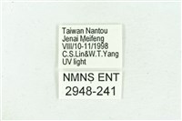 臺雪苔蛾藏品圖，第3張