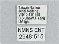 銀端帶鉤蛾藏品圖，第3張