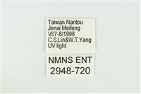 黑翅黃毒蛾藏品圖，第3張