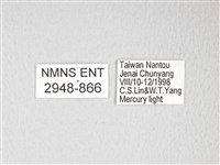 黃豹天蠶蛾藏品圖，第3張