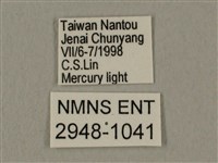 蝦殼天蛾藏品圖，第3張