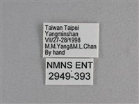 曲紋袖弄蝶藏品圖，第3張