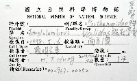 強壯菱蟹藏品圖，第12張