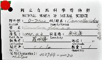 粗布核螺藏品圖，第8張