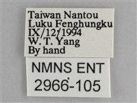 琉璃蛺蝶藏品圖，第3張