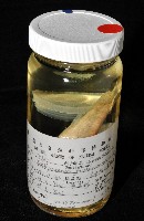 福山魚怪(新種)藏品圖，第8張