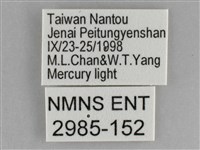 大胡麻斑星尺蛾藏品圖，第3張