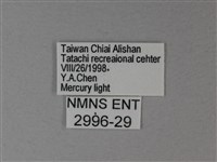 苧麻細蝶藏品圖，第3張