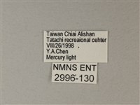 苧麻細蝶藏品圖，第3張