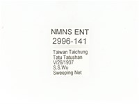 東方白點花金龜藏品圖，第2張