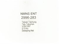 銅點花金龜藏品圖，第2張