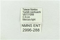 基褐綠刺蛾藏品圖，第3張