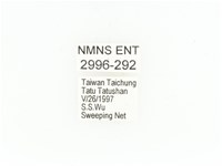 東方白點花金龜藏品圖，第2張