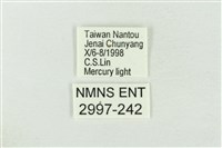 臺洒波紋蛾藏品圖，第3張