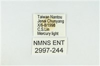 寬紋黃毒蛾藏品圖，第3張