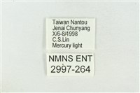 臺洒波紋蛾藏品圖，第3張