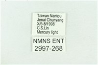 粉紅帶散紋夜蛾藏品圖，第3張