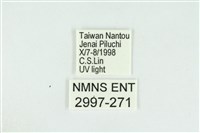 遠藤氏波紋蛾藏品圖，第3張