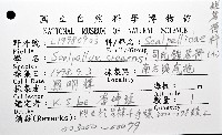 司氏鎧茗荷藏品圖，第8張