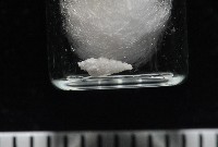 窗格海螄螺藏品圖，第5張