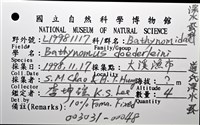 道氏深水虱藏品圖，第16張