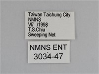 豔粉蝶藏品圖，第3張