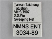 遷粉蝶、淡黃蝶藏品圖，第3張