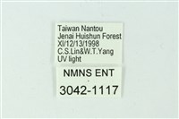 三色豔苔蛾藏品圖，第3張