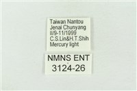 印華波紋蛾藏品圖，第3張