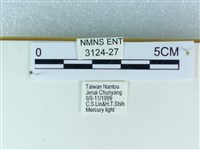 粉蝶燈蛾藏品圖，第3張