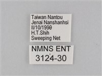 小波眼蝶藏品圖，第3張