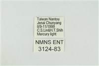 黑翅黃毒蛾藏品圖，第3張