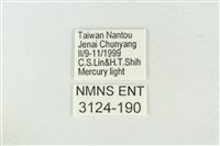 連珠波紋蛾藏品圖，第3張