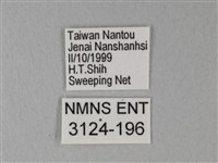 緣點白粉蝶藏品圖，第3張