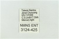 印華波紋蛾藏品圖，第3張