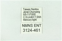 臺雪苔蛾藏品圖，第3張