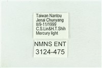 粉紅帶散紋夜蛾藏品圖，第3張