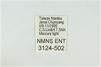 黑翅黃毒蛾藏品圖，第3張