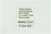 黑翅黃毒蛾藏品圖，第3張