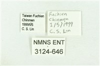 白傘弄蝶藏品圖，第3張