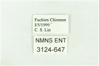 白傘弄蝶藏品圖，第3張